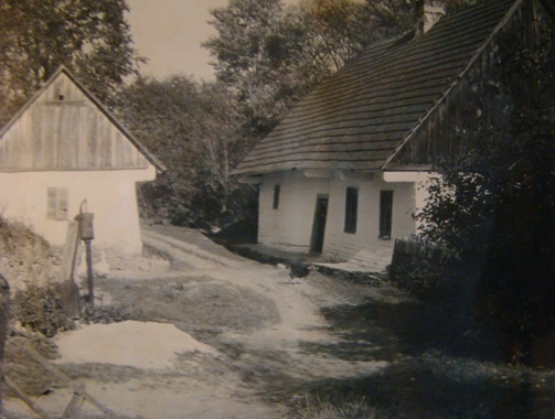 fotky 007.jpg