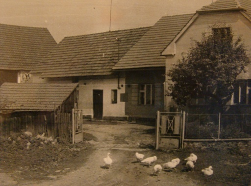 fotky 012.jpg