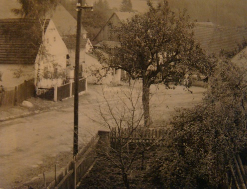fotky 014.jpg